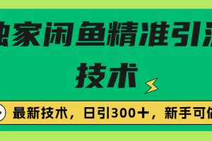 (6635期)独家闲鱼引流技术,日引300+实战玩法