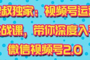 狼叔视频号运营实战课2.0，目前市面上最新最全玩法，快速吸粉吸金（10节视频）