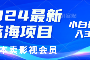 (11894期)2024最新蓝海项目,0成本卖影视会员,小白也能日入3位数