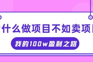 (11893期)抓住互联网创业红利期,我通过卖项目轻松赚取100W+