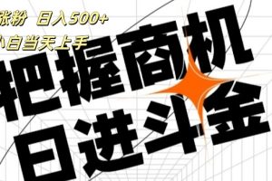 (11902期)帮助涨粉,日入500+,覆盖抖音快手公众号客源广,小白可以直接上手