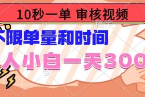 （14093期）10秒一单，审核视频 ，不限单量时间，新人小白一天300+