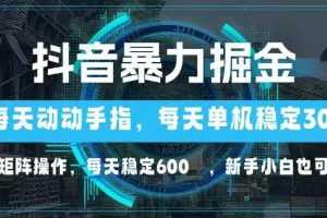 （14541期）抖音暴力掘金，动动手指就可以，单机30+，可矩阵操作，每天稳定600+，…
