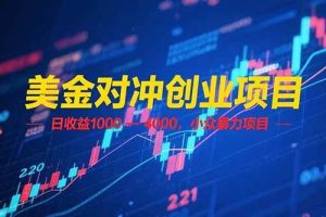 （15187期）美金对冲创业项目，日收益 1000 – 4000，小众暴力项目