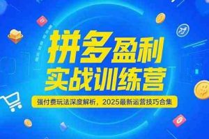 拼多多盈利实战训练营，强付费玩法深度解析，2025最新运营技巧合集