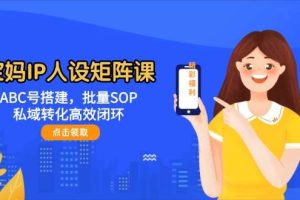 （14821期）宝妈IP人设矩阵课：ABC号搭建，批量SOP，私域转化高效闭环