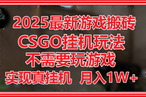 2025最新游戏搬砖，CSGO挂机，不需要玩游戏，实现真挂机，月入1W+