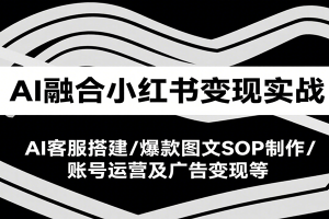 AI融合小红书变现实战课，AI客服搭建/爆款图文SOP制作/账号运营及广告变现等