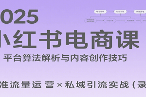 2025小红书电商课：解析算法，创作高转化内容，助力卖家获取流量实现变现（录音）