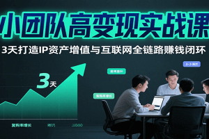 小团队高变现实战课，3天打造IP资产增值与互联网全链路赚钱闭环（第二期）