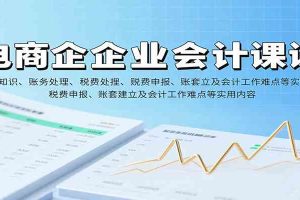电商企业会计课：基础知识、账务处理、税费申报、账套建立及会计工作难点等实用内容