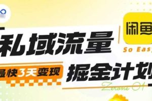 私域流量掘金计划实战训练营，最快3天变现