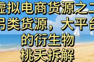 虚拟电商之二—另类的货源,大平台的衍生物