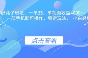 (16446期)抖音手游野路子玩法,一单25,单视频收益4000+,日入几千轻轻松松,一…