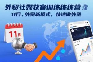 外贸社媒获客训练营11月,外贸新模式,快速做外贸