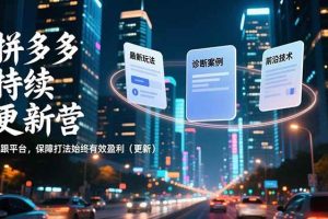 (16987期)拼多多持续更新营,最新玩法、诊断案例、前沿技术,紧跟平台,保障打法始终有效盈利(更新)