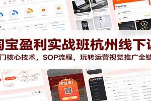 淘宝盈利实战班杭州线下课:12门核心技术,SOP 流程,玩转运营视觉推广全链路