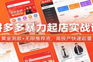 拼多多暴力起店实战课:黄金测款+无限推荐流,高投产快速起量