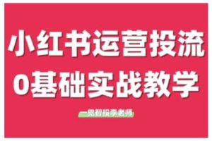小红书运营投流，小红书广告投放从0到1的实战课，学完即可开始投放（更新26年）