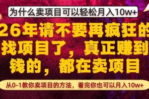 为什么真正賺到钱的都在卖项目,从0-1教你卖项目的方法,看完你也可以月入10w+【揭秘】
