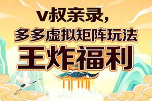 v叔亲录,多多虚拟矩阵玩法,王炸福利限时领取