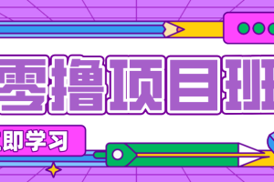 一个长期去深耕,坚持去做就有被动收入的项目,实测每天2小时轻松收益100+