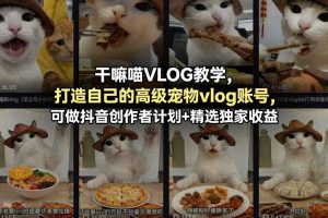 干嘛喵VLOG教学，打造自己的高级宠物vlog账号，可做抖音创作者计划+精选独家收益