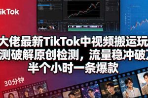 某大佬最新TikTok中视频搬运玩法,实测破解原创检测,流量稳冲破万,半个小时一条爆款