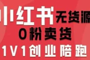 小红书无货源0粉电商课，开店准备、选品策略、笔记撰写、视频剪辑、数据分析、账号打造、资料文档（更新26年5月11日）