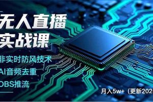 (18508期)无人直播实战课(更新5月),非实时防风技术、AI音频去重、OBS推流,建立技术壁垒,月入5w+