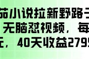番茄小说拉新野路子玩法,无脑怼视频,玩法简单、见效快,每单10米,40天收益27950