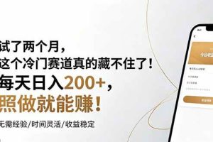 (19019期)试了两个月,这个冷门赛道真的藏不住了!每天日入200+,照做就能赚!