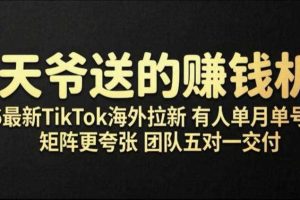 老天爷送的賺钱机会!2026最新TikTok海外拉新,有人单月单号10W+,矩阵更夸张,团队交付【揭秘】