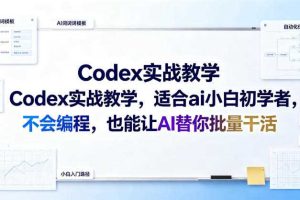Codex实战教学,适合ai小白初学者,不会编程,也能让AI替你批量干活